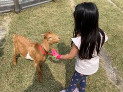 -前小桔亲子创意农场·草莓采摘·露营烧烤