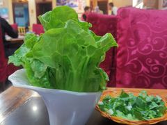 -老刘生态大鱼坊铁锅炖鱼(赛马场店)