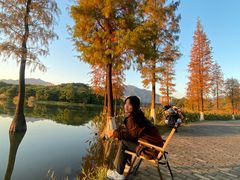 -飞来湖湿地公园