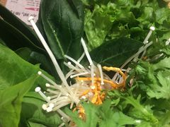 -掂档潮汕牛肉火锅(沈阳万象城店)