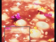 -阿莉餐厅(枣阳路店)