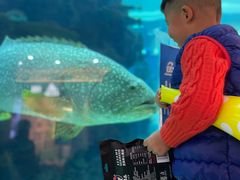 -鸿通城购物中心