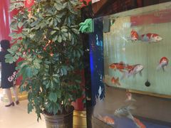 -老六杀猪菜(进乡街店)