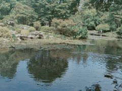 -杭州植物园