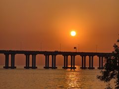 -宝安西湾红树林湿地公园