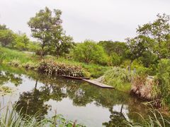 -木守西溪溪隐餐厅