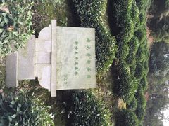 老龙井御茶园(老龙井店)-十八棵（老龙井）御茶园(老龙井店)