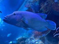 -黄金海岸水疗会所(凯利宾馆店)