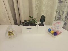 -广州花之恋城堡酒店