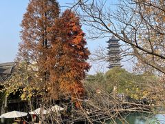 -乌镇东栅景区
