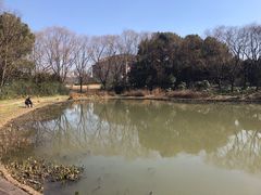 -新江湾城公园