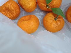 -五里多农博广场