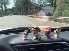 -微山湖红荷湿地景区