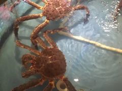 -蟹之国·精品蟹料理(极地店)