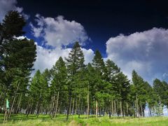 -塞罕坝国家级自然保护区