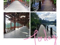 -重庆彩云湖湿地公园