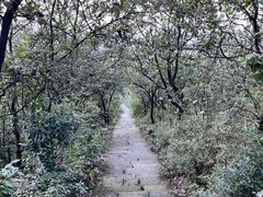 -杭州半山国家森林公园