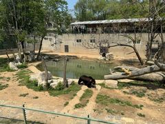 -石家庄市动物园