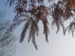 -滨湖塘西河公园