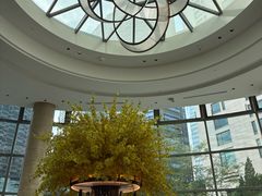 -Plush大堂酒廊(北京金融街威斯汀大酒店)