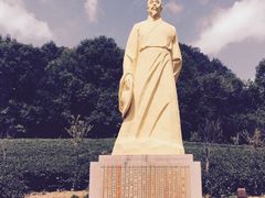 -天台国家森林公园水上茶乡九鹏溪