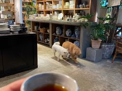 -自由生长植物工作室(深港花卉中心店)