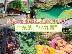 -南海湾森林生态园