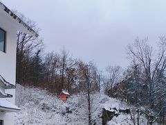 -洛阳白云山景区