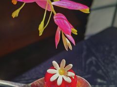 -鲜璟台·地标景观餐厅(上海中心店)