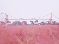 -花博汇(知音花月夜)