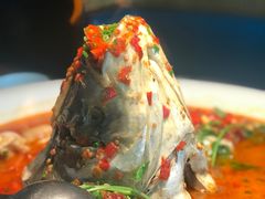 -坛宗剁椒鱼头(河西王府井店)