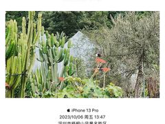 -深圳市中科院仙湖植物园