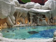 -中铁花水湾温泉酒店(大邑店)