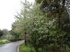 -宝岩生态观光园