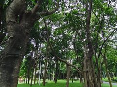 -深圳国际园林花卉博览园