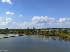 -盐城丹顶鹤湿地生态旅游区