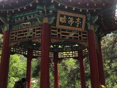 -沂蒙山旅游区云蒙景区(蒙山国家森林公园)