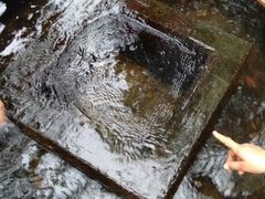 -银瓶嘴森林公园