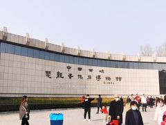 -中国西峡恐龙遗迹园