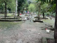 -哈尔滨北方森林动物园