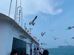 -海驴岛(荣成市)