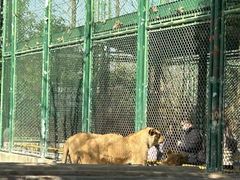 -上海野生动物园