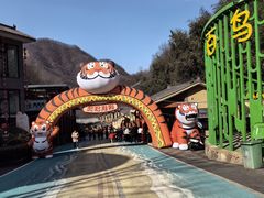 -栾川竹海野生动物园
