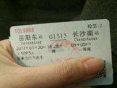 -岳阳东站