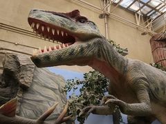 -国家自然博物馆