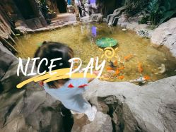 -宝燕乐园(闵行旗舰店)