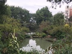 -龙山酒店温泉