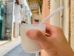-洪馨椰子