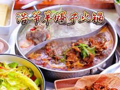 -浩爷羊蝎子火锅(望京店)