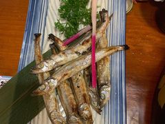 -三月居酒屋(青年大街店)